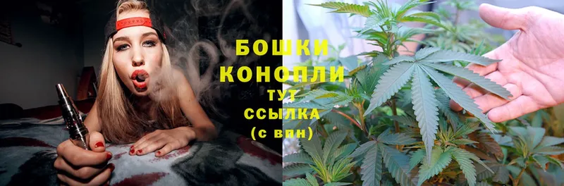 Канабис OG Kush  Кодинск 